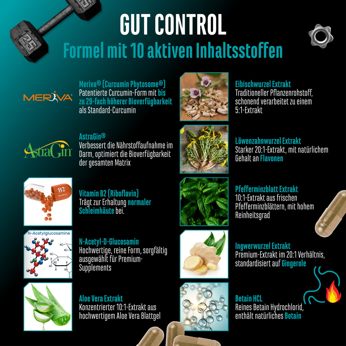 Gut Control,