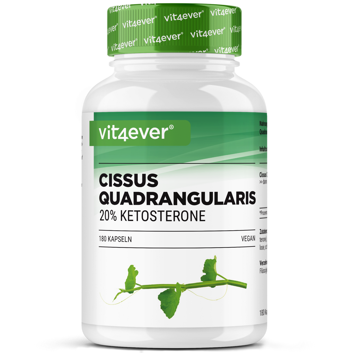 Cissus Quadrangularis - extracto de 725 mg - 40 % cetosteronas