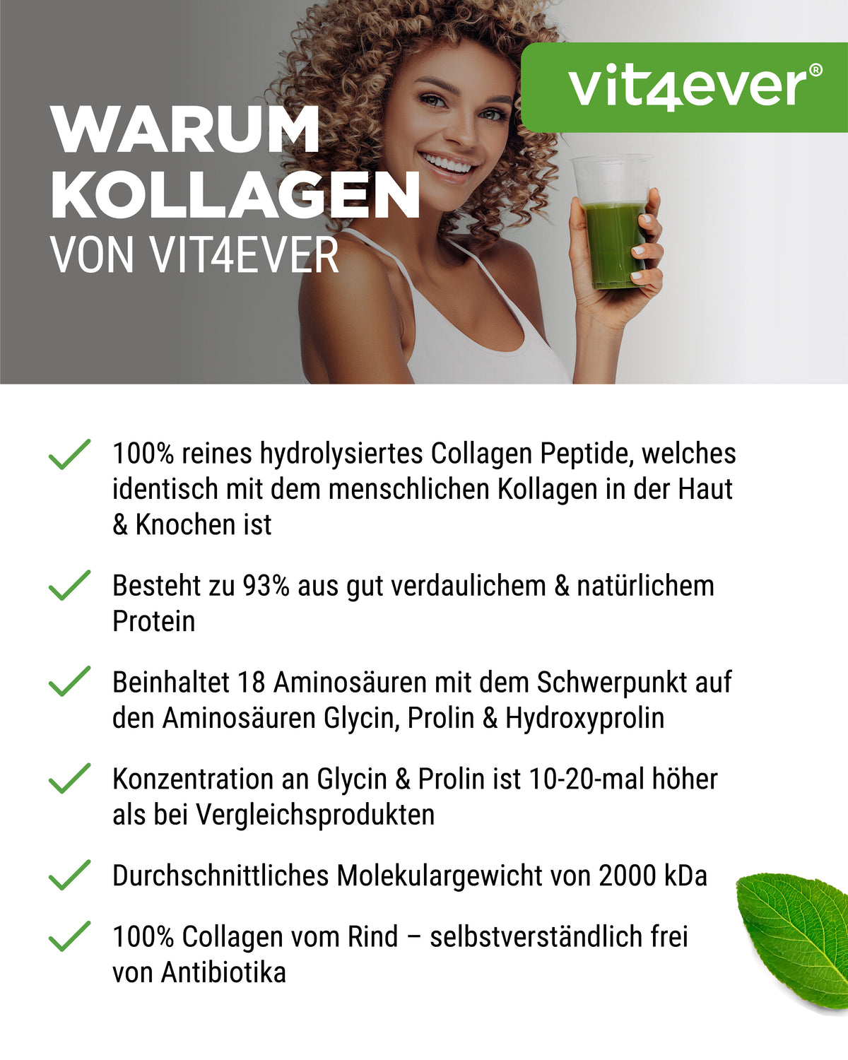 Collagene in polvere - 1000 g - Insapore