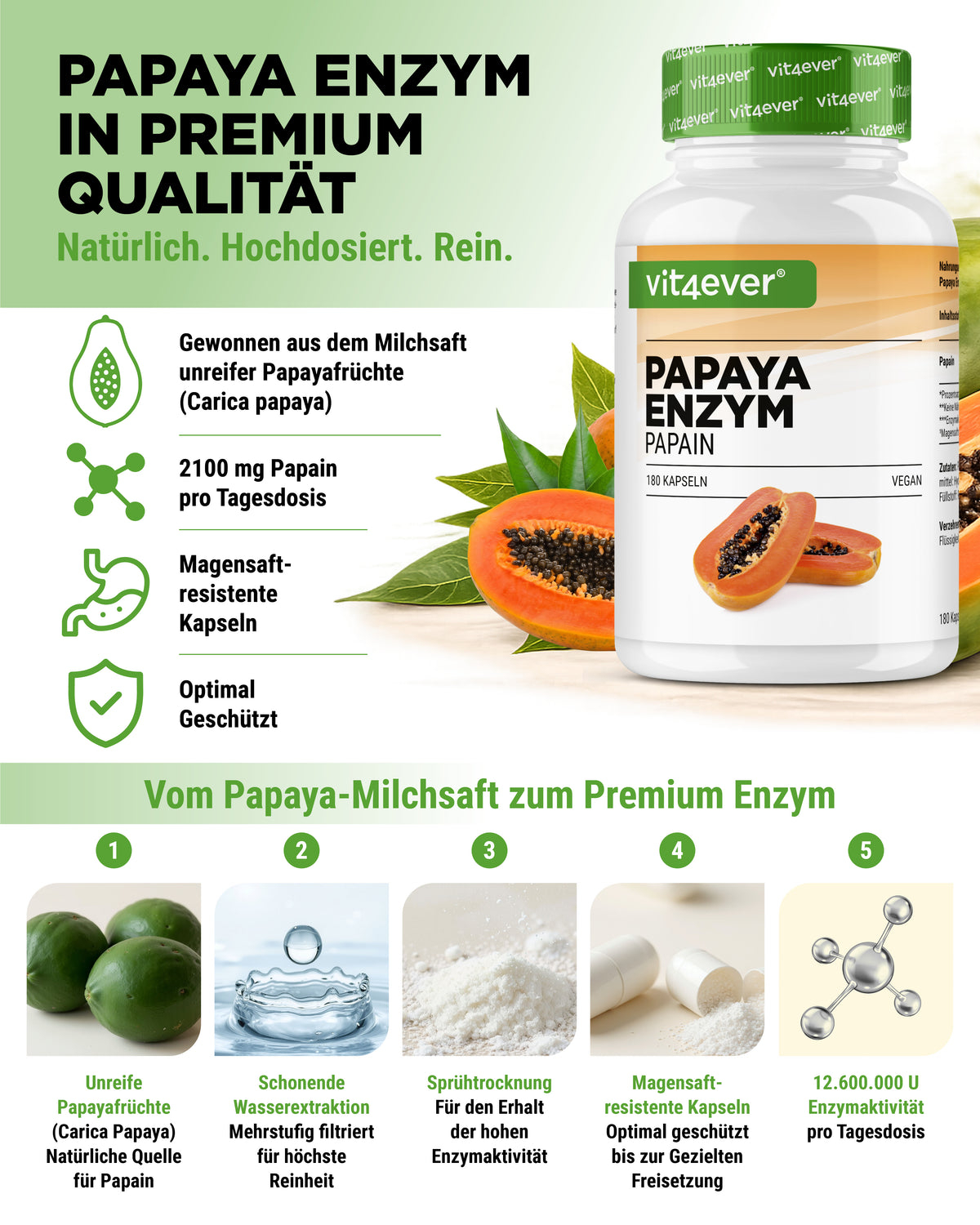 Papaya Enzym