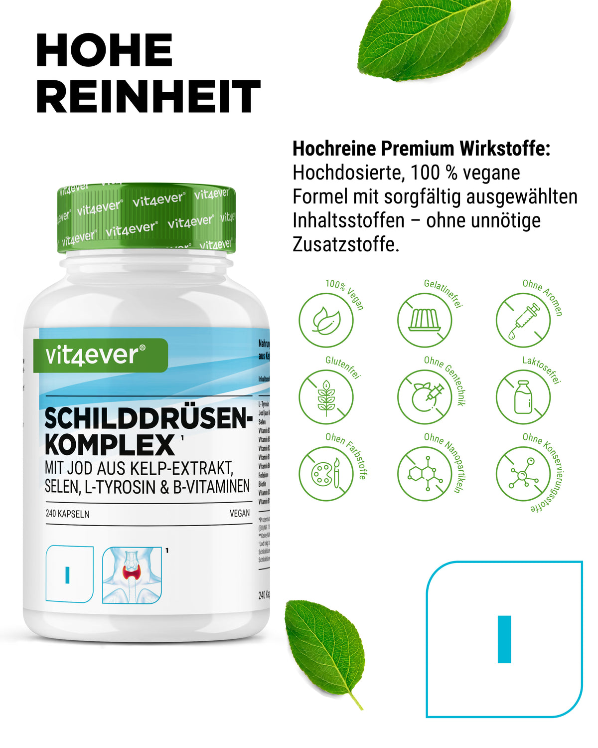 Schilddrüsen-Komplex