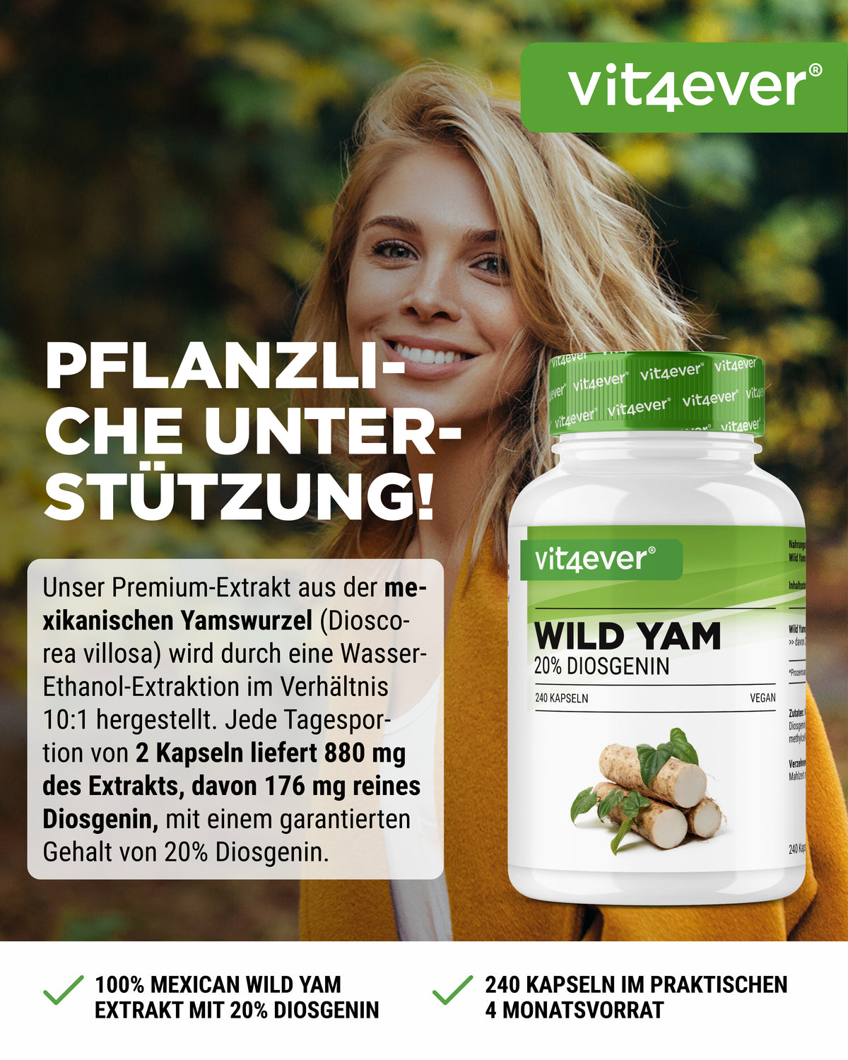 Mexican Wild Yam Extrakt