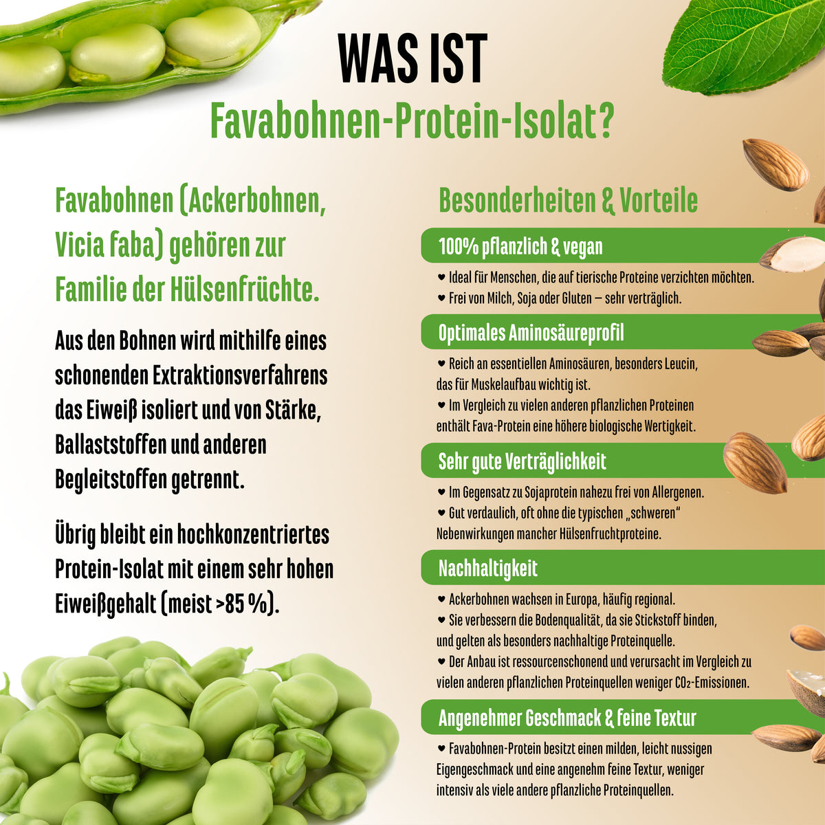Yummy Vegan Protein