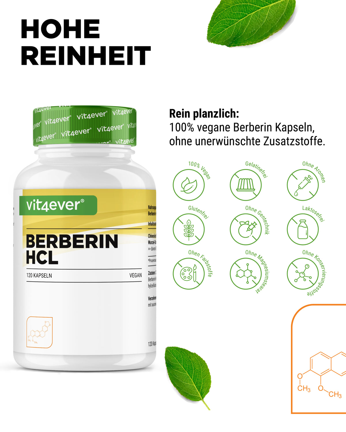 Berberine HCL - 500 mg