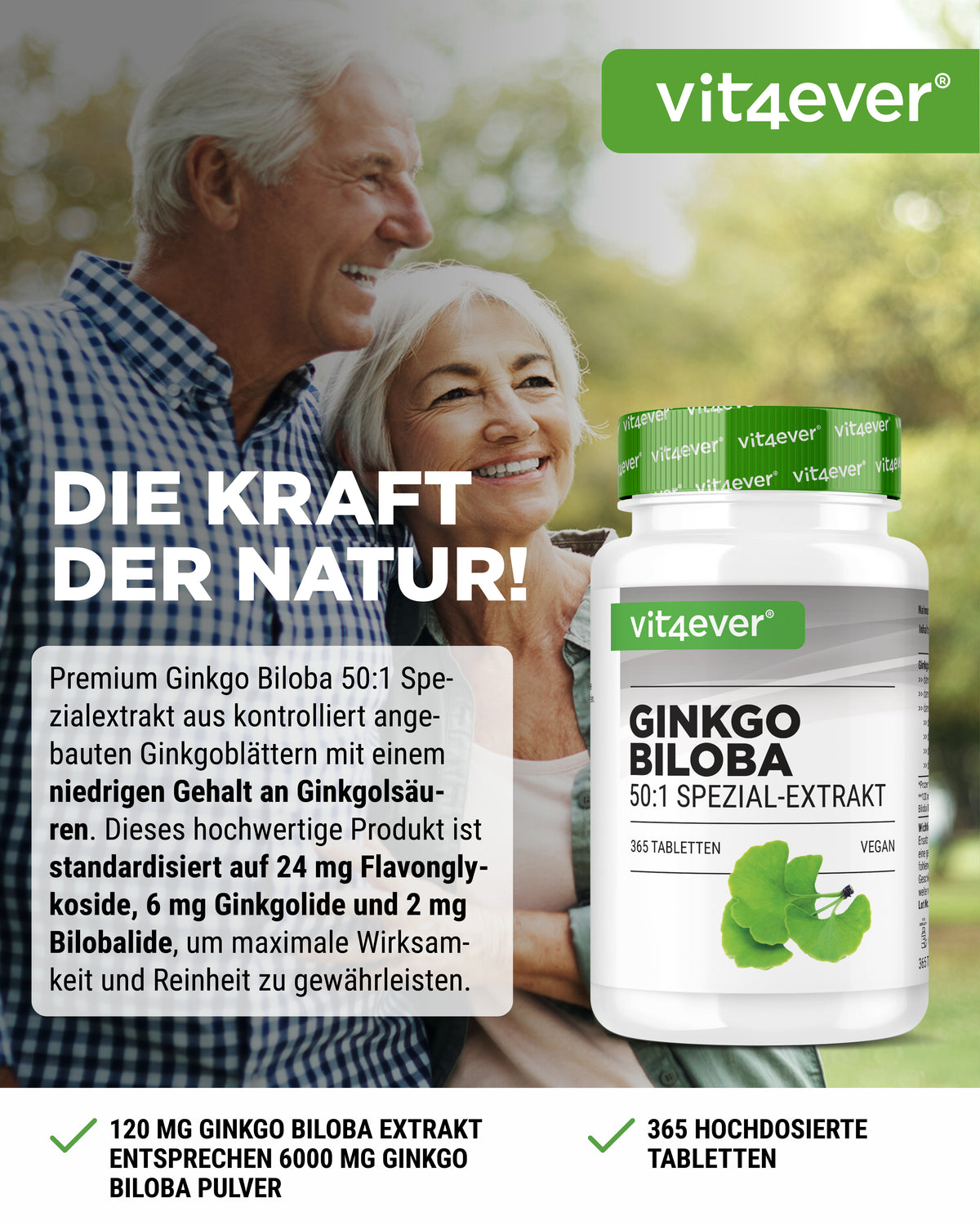 Ginkgo Biloba Extrakt