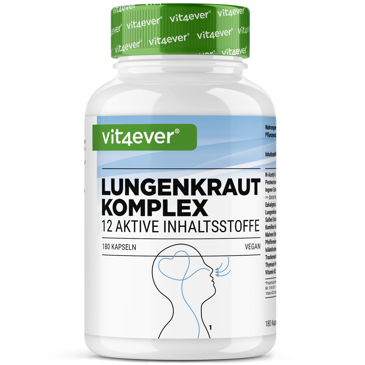 Lungen Komplex