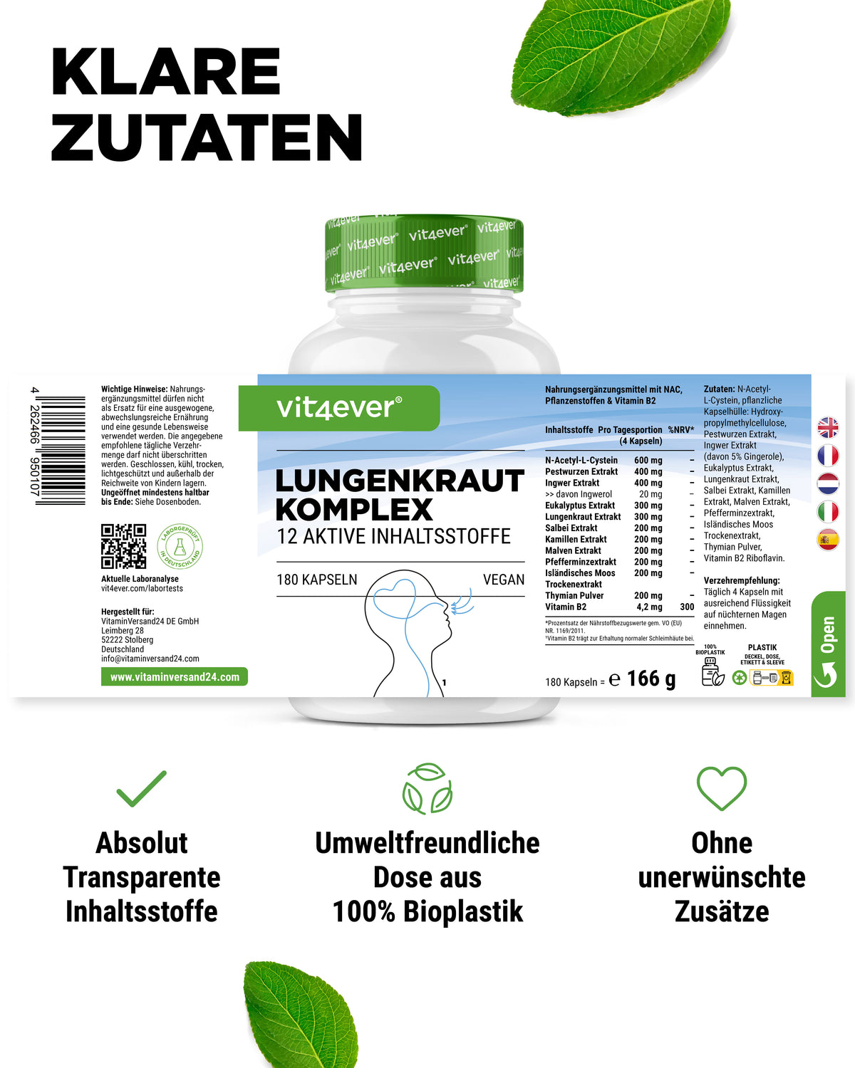Lungen Komplex