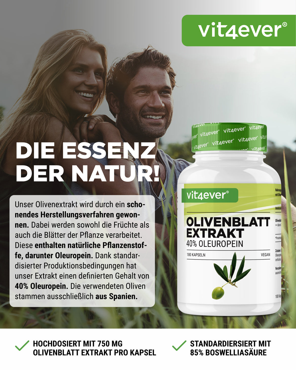 Olivenblatt Extrakt - 40% Oleuropein