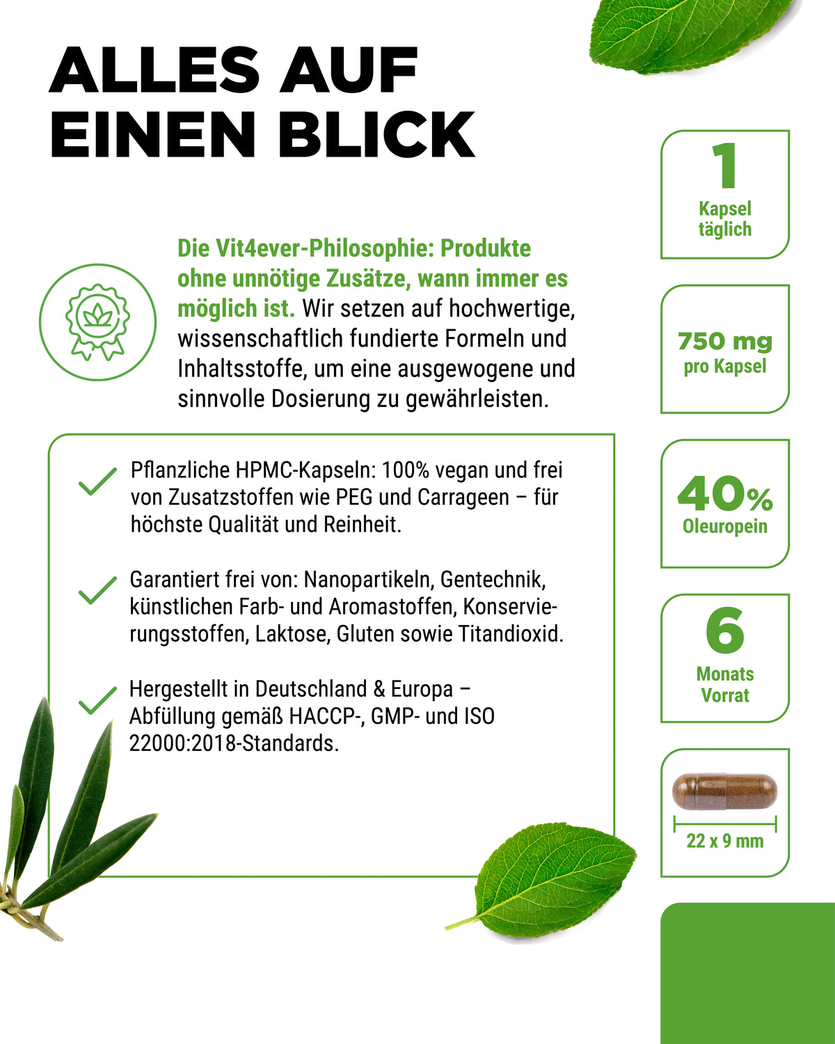 Extracto de hoja de olivo - 40 % oleuropeína