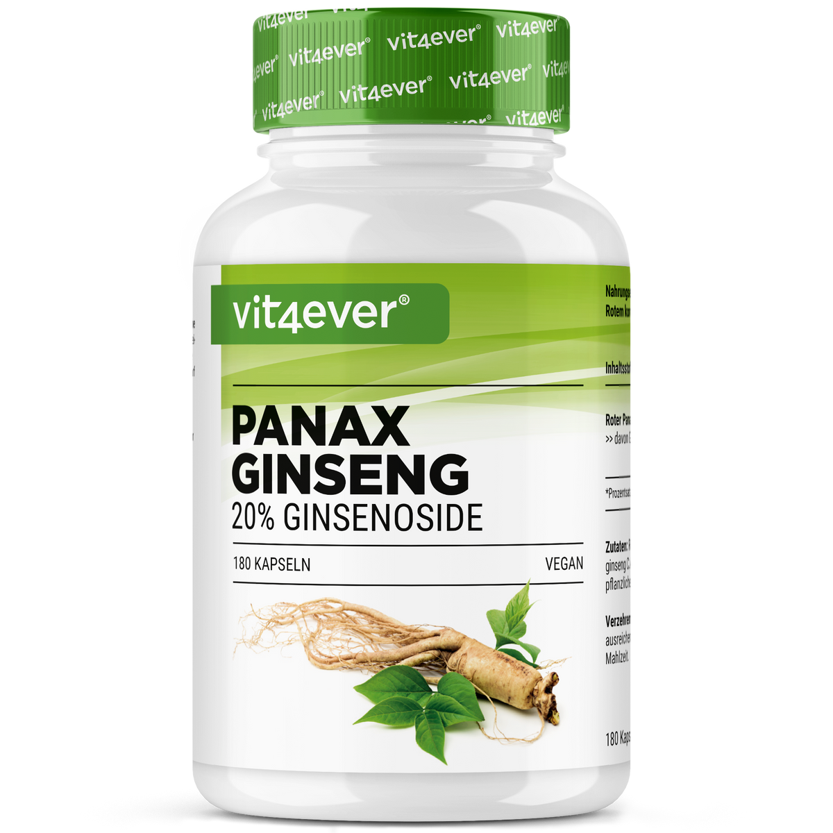 Roter Panax Ginseng