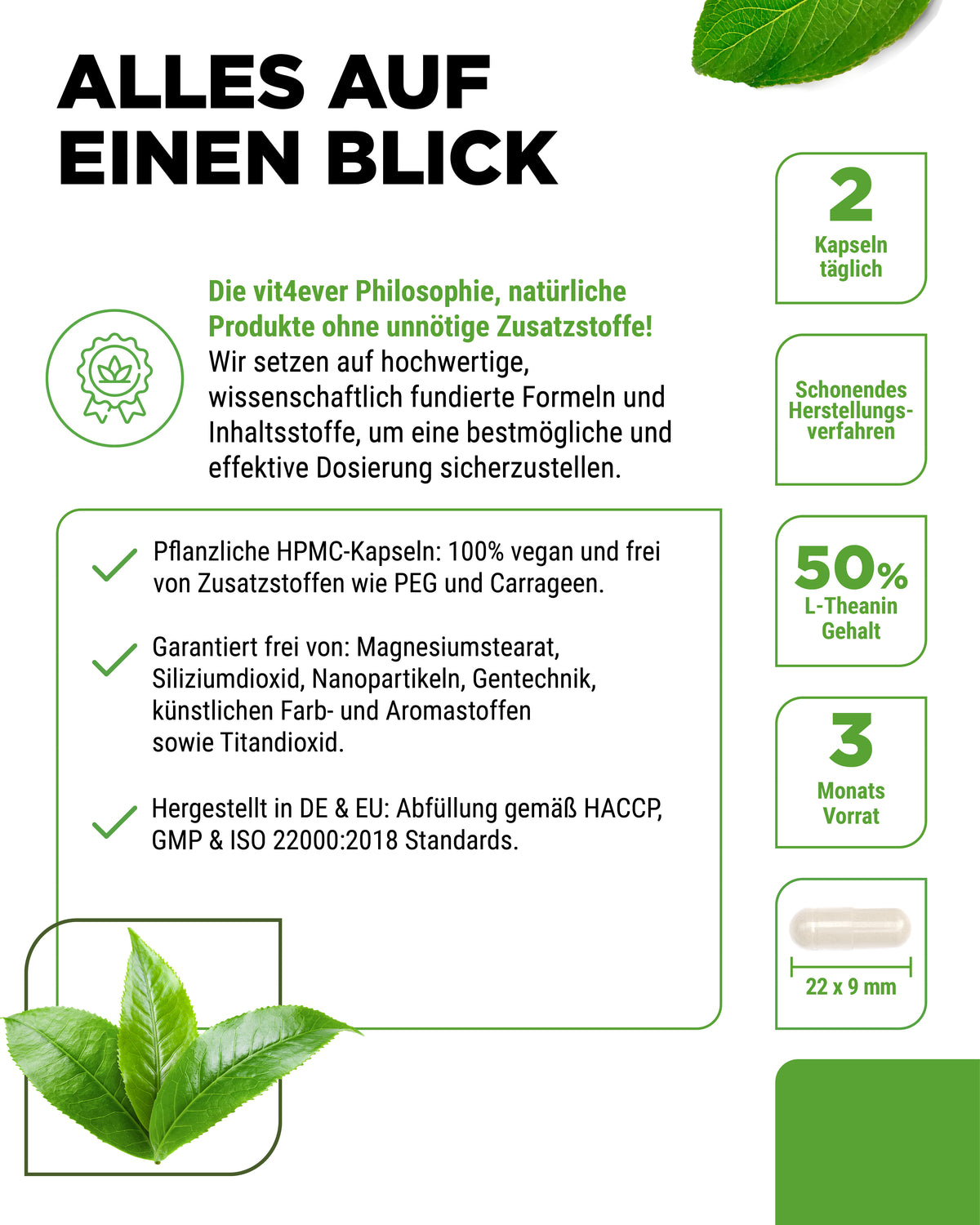 L-Theanin aus Grüntee