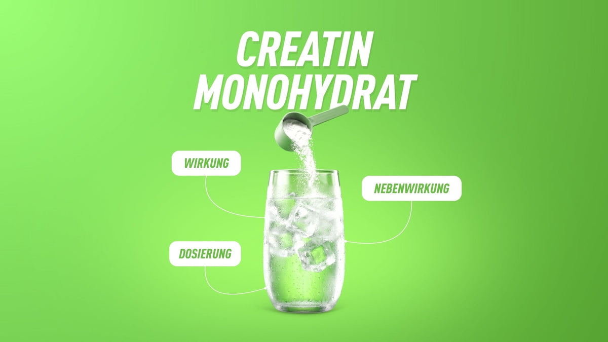 Creatin Monohydrat: Wirkung, Dosierung & Nebenwirkungen
