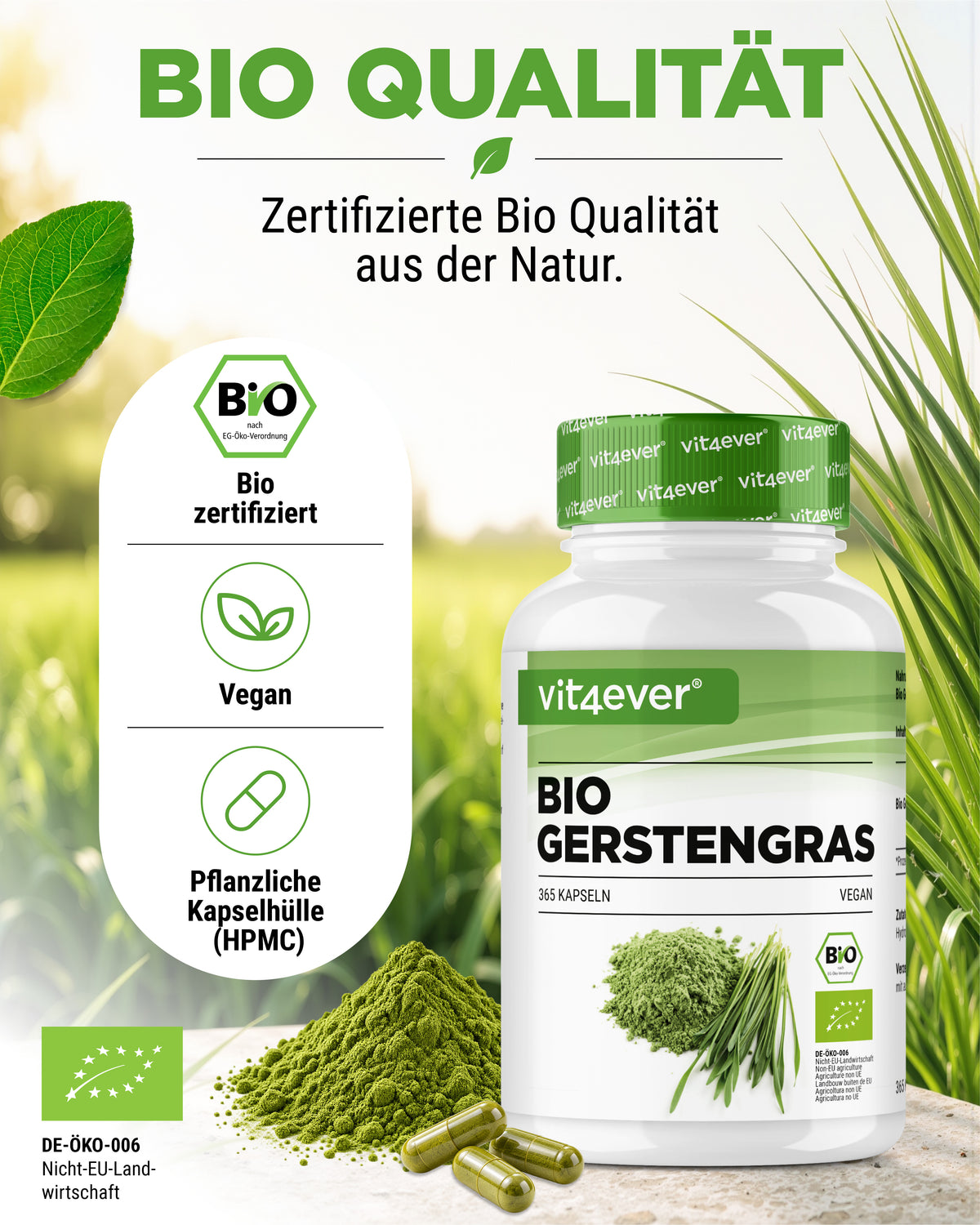 Herbe d'orge Bio - 365 gélules véganes