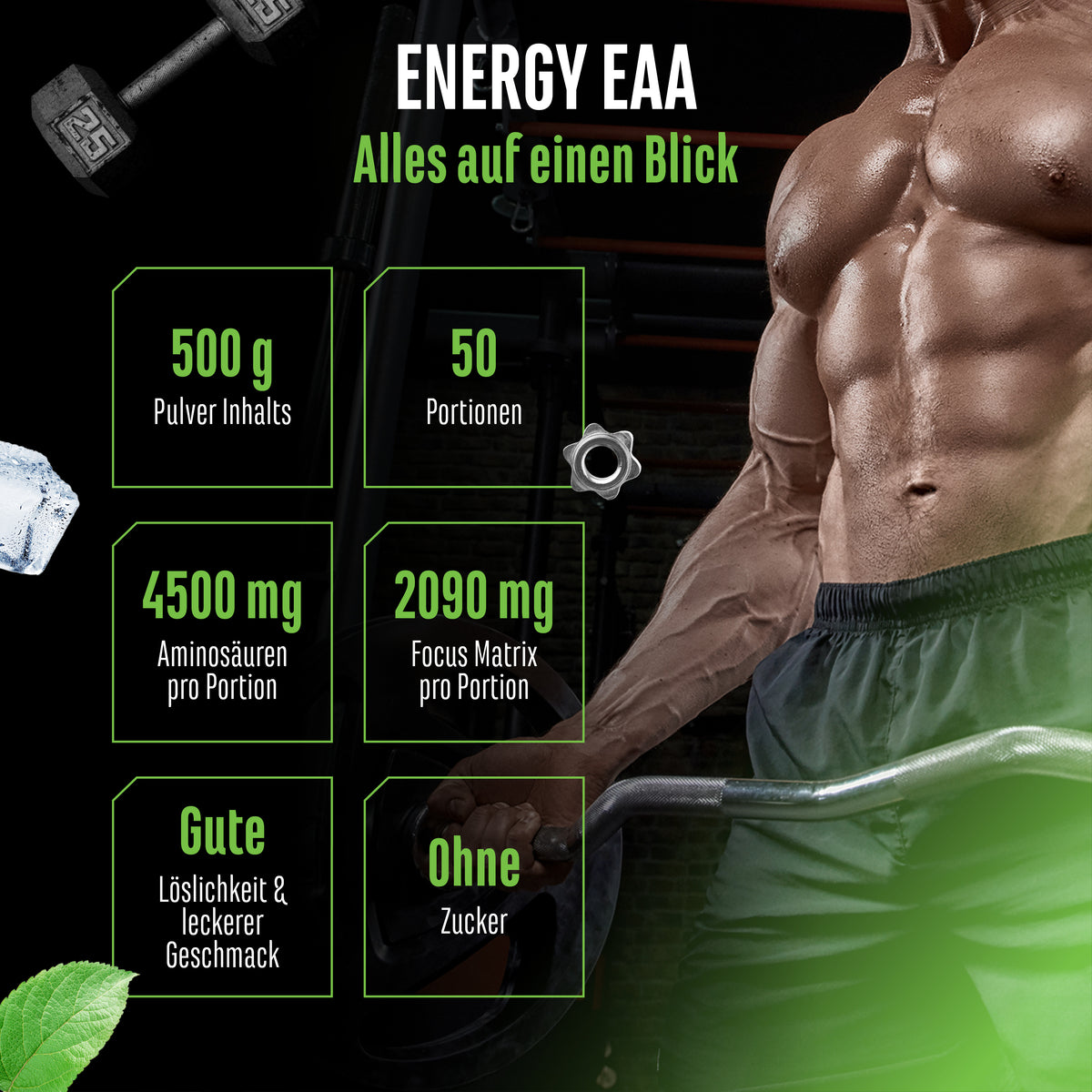 EAA Energy Mix