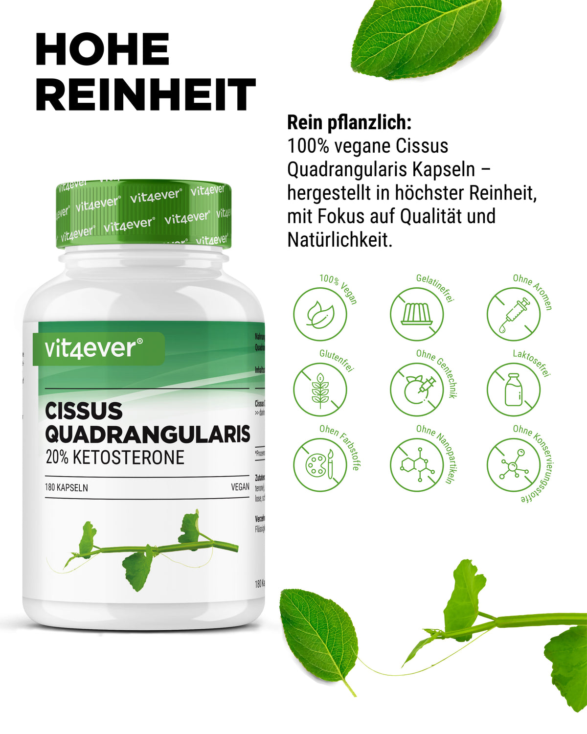 Cissus Quadrangularis - 725 mg Extract - 40% Ketosterones