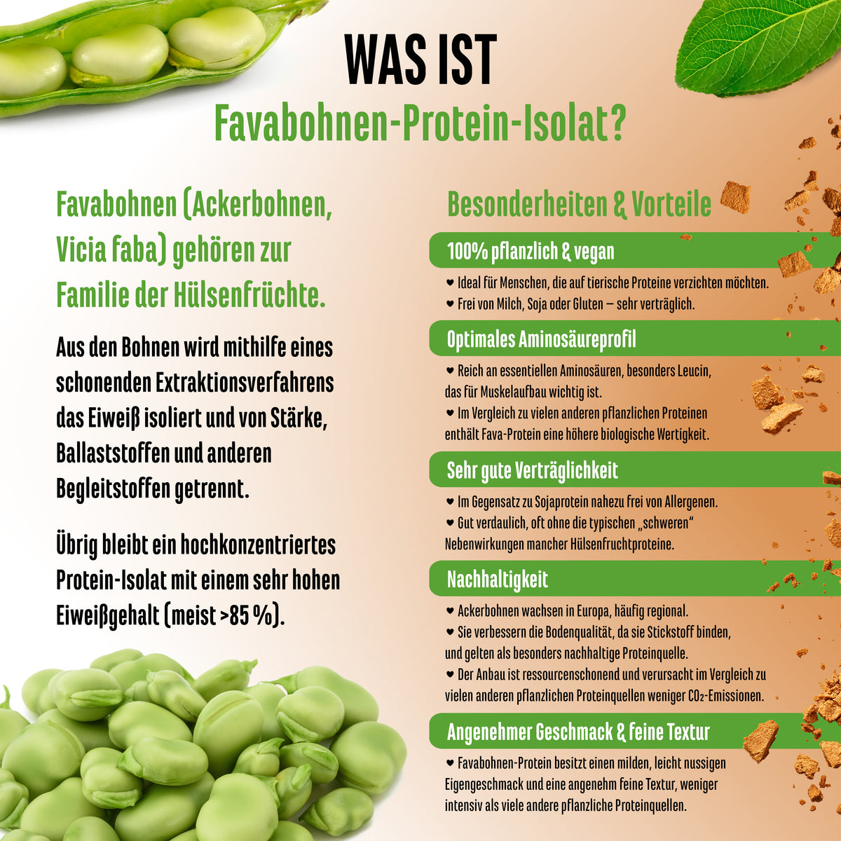 Yummy Vegan Protein