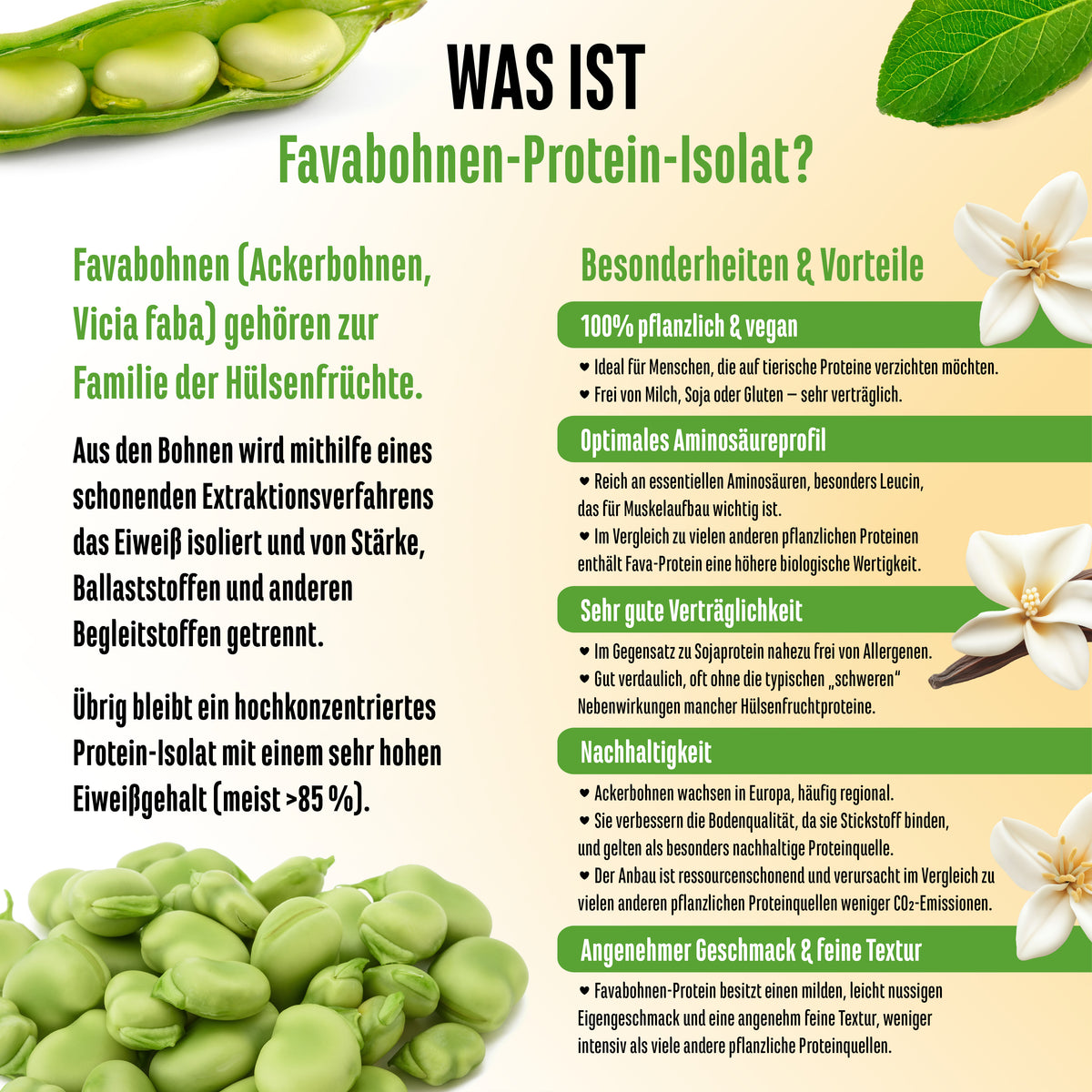 Yummy Vegan Protein