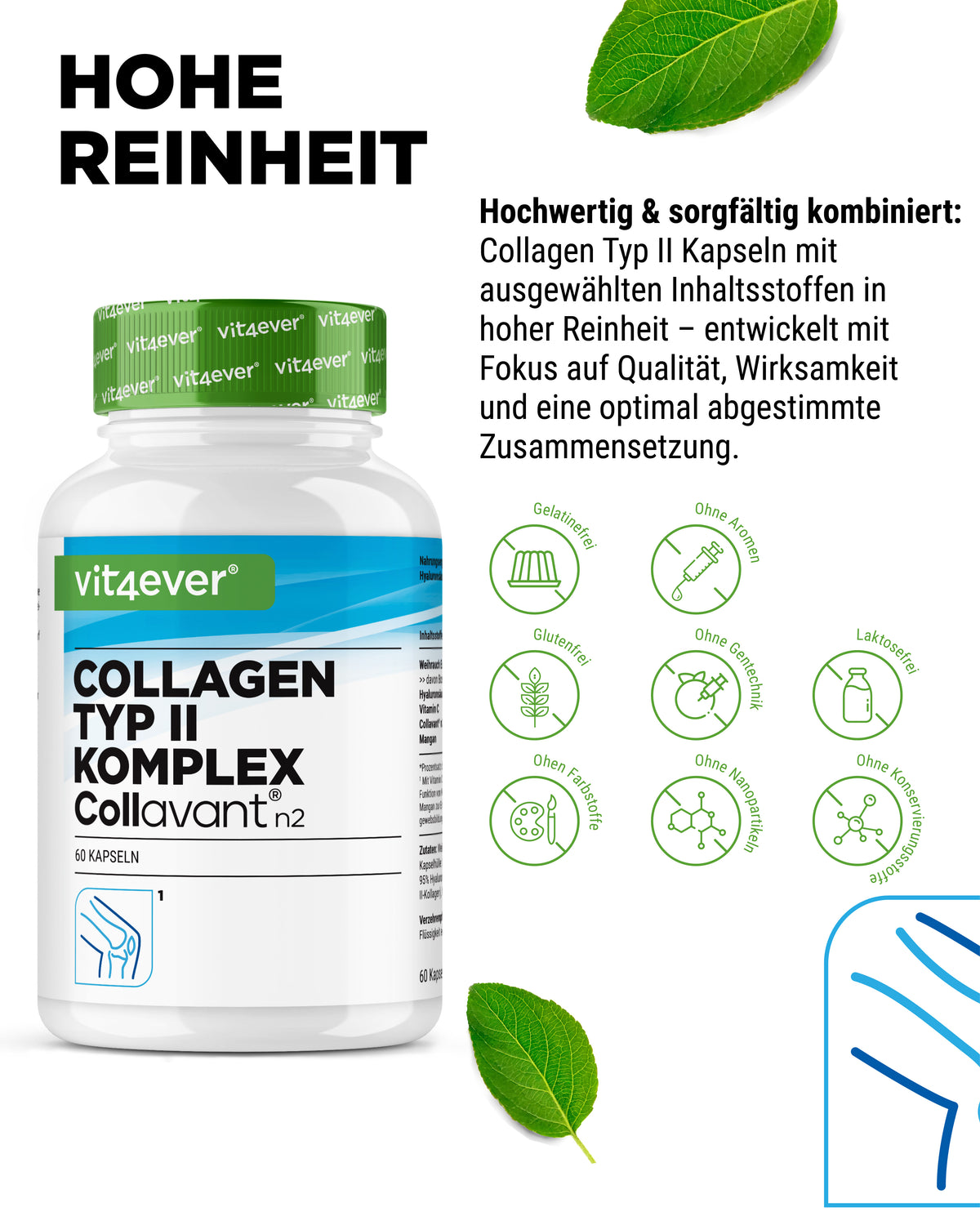 Kollagen Typ 2 Komplex
