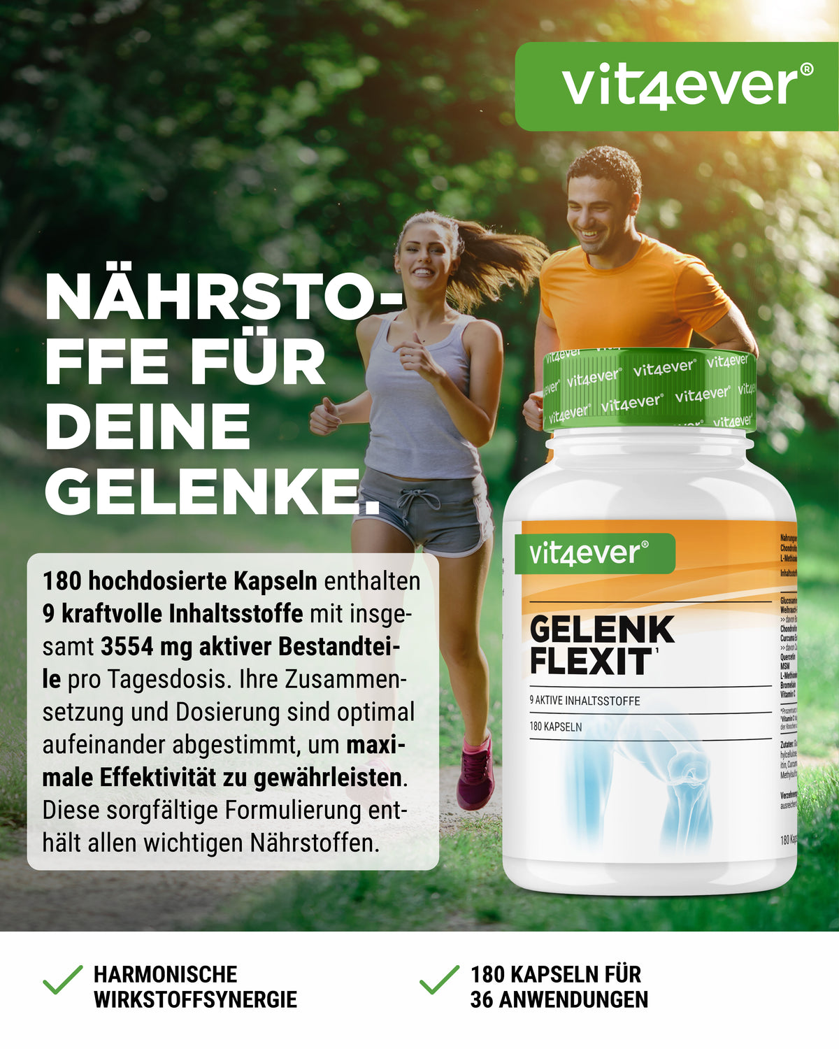 Gelenk Flexit - 9 Wirkstoffe