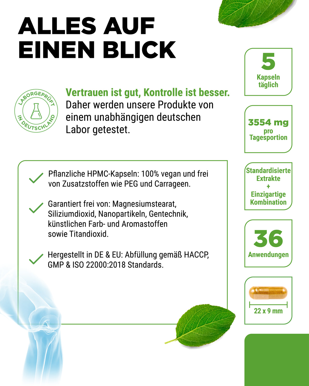 Gelenk Flexit - 9 Wirkstoffe