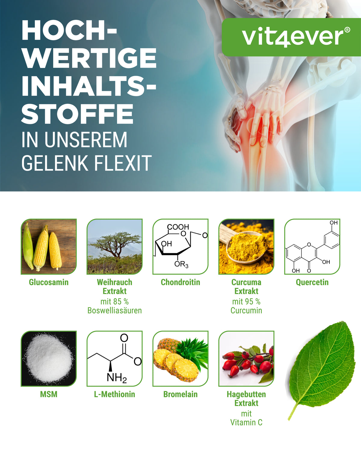 Gelenk Flexit - 9 Wirkstoffe