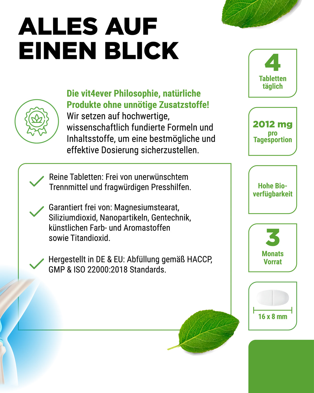 Glucosamine, Chondroitin & MSM