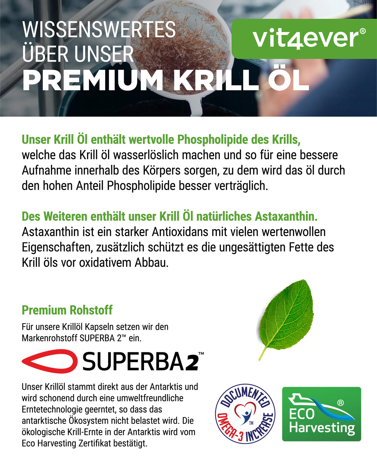 Olej z Kryla - SUPERBA2