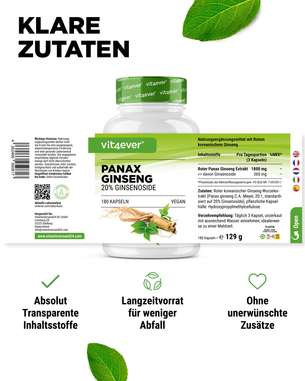 Roter Panax Ginseng