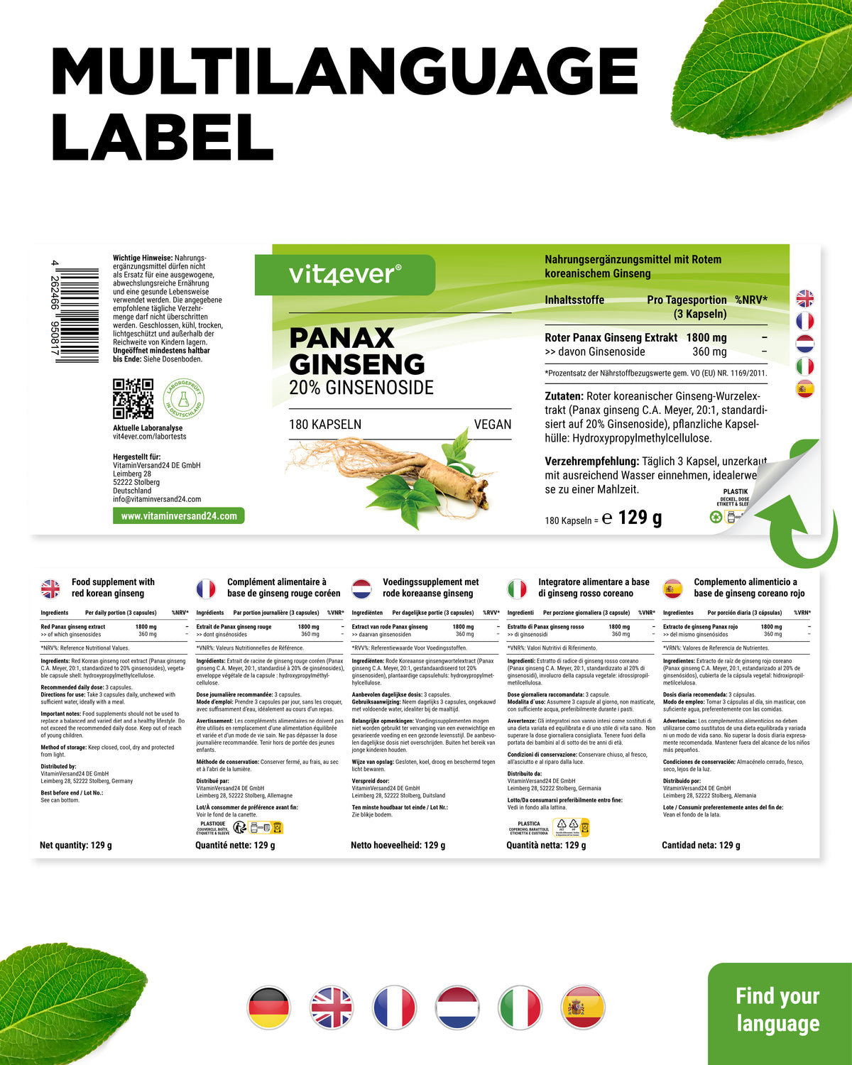 Roter Panax Ginseng