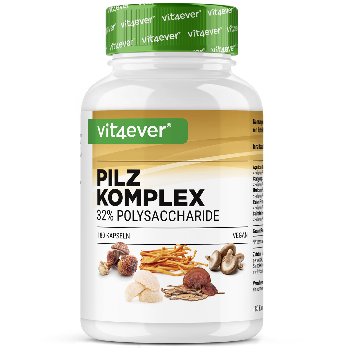 Pilz Komplex