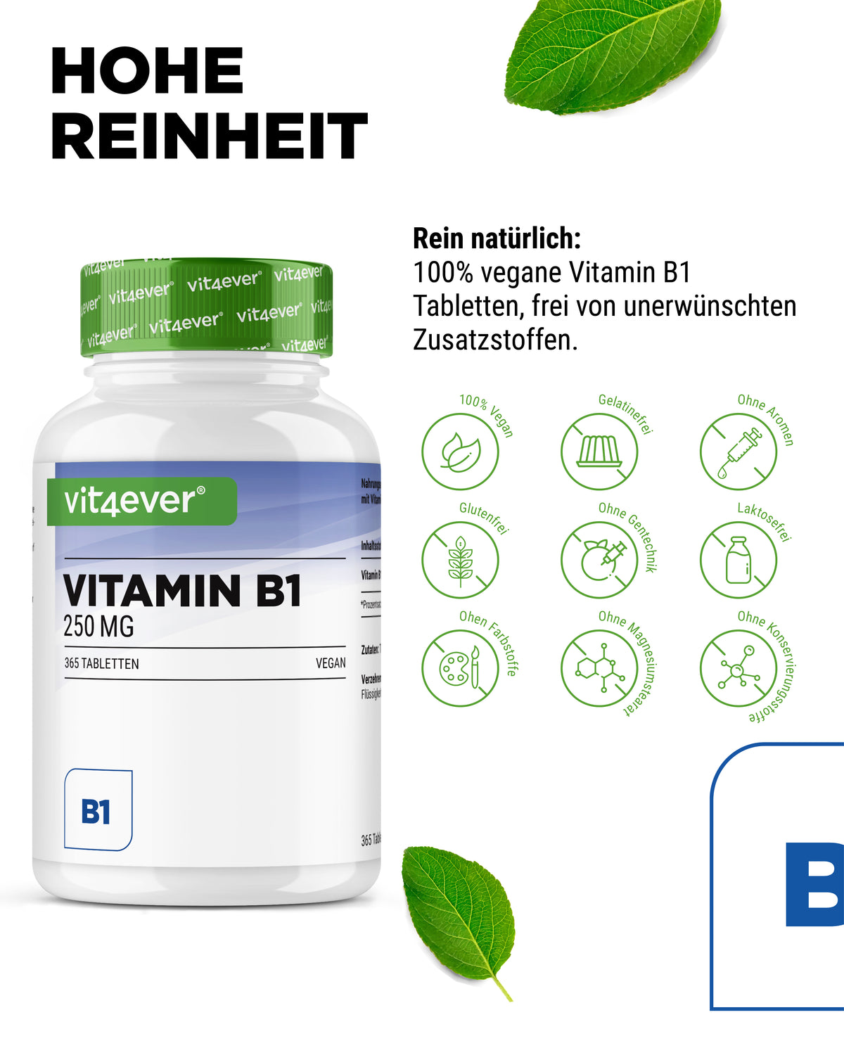 Vitamin B1 Thiamin 250 mg
